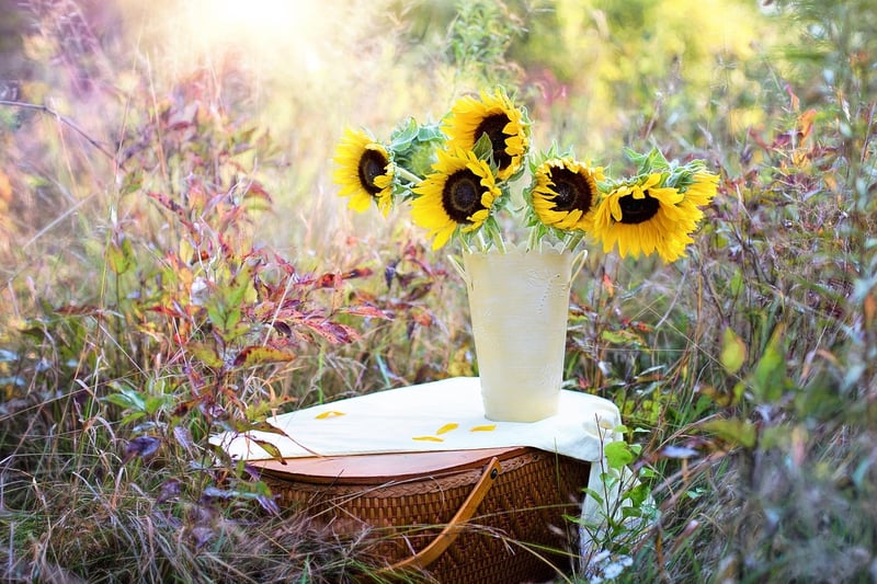 Glass Bottle Vases
